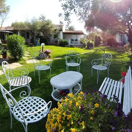 Il Falco Casa Vacanze - - Porto Rotondo Appartamento Cugnana
