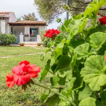 Appartamento Il Falco Casa Vacanze - - Porto Rotondo Cugnana