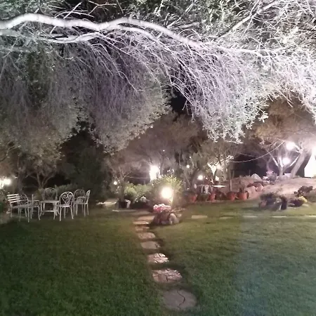 Il Falco Casa Vacanze - - Porto Rotondo *